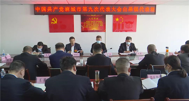 白果.jpg