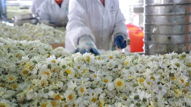 1761116870222821.jpg 3.jpg