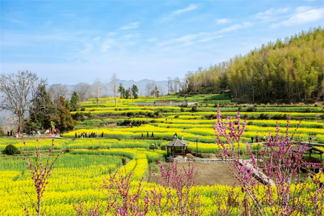 1761635751459593.jpg 1.jpg