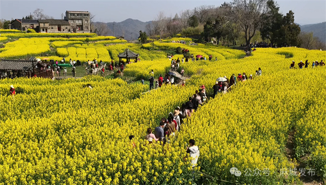 1761635758335838.jpg 02.jpg