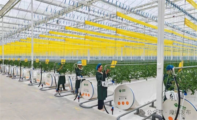 1761635769602486.jpg 4.jpg